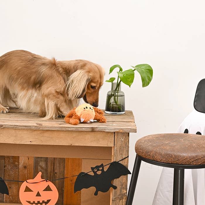 Halloweenspeeltje Bal – Spin