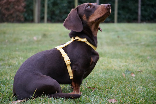 Waterafstotende harnas