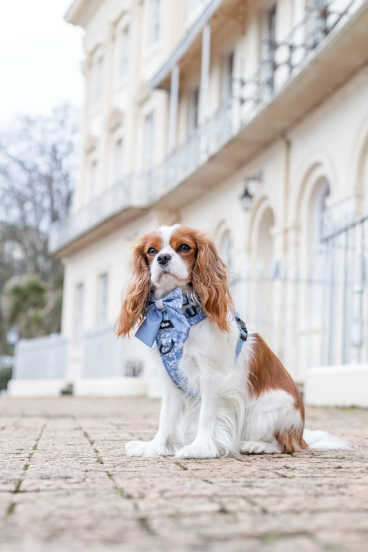 Laura Ashley - Shepherd's Purse - harnas