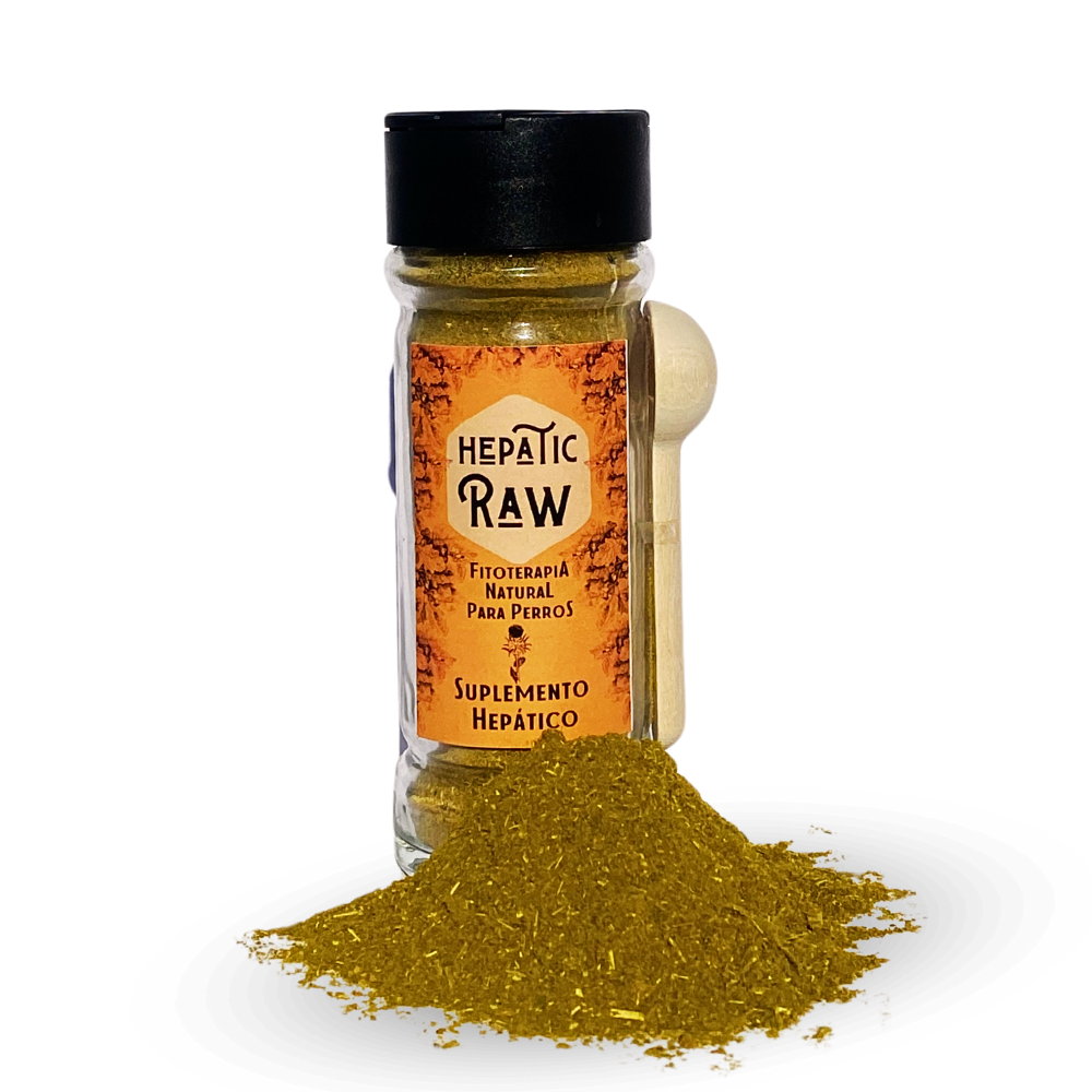 Raw Hepatico – Leverondersteunend