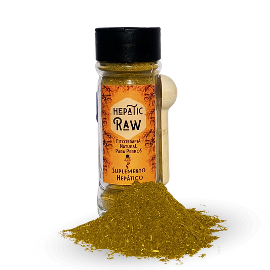 Raw Hepatico – Leverondersteunend