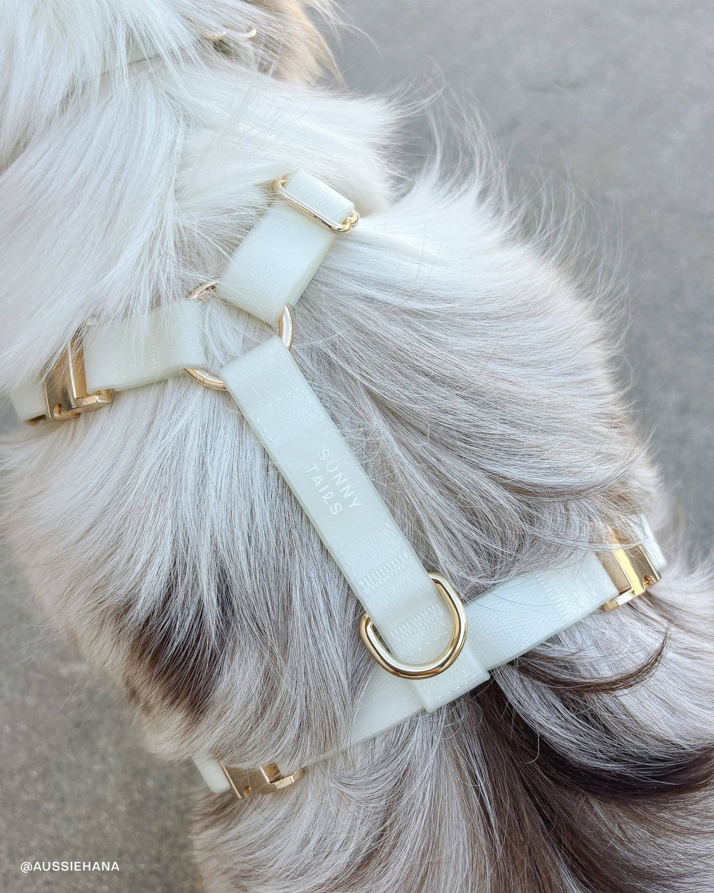 Harnais pour chien Lunar Glow