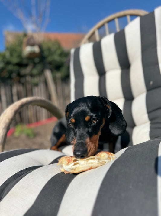 Beignet de bœuf au canard