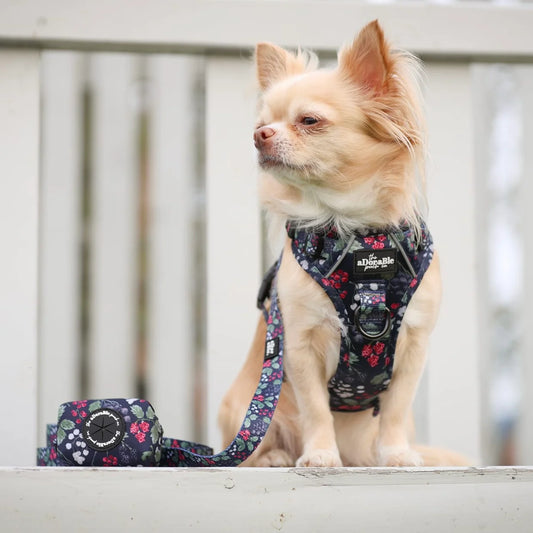 Leiband – Bramble Berry