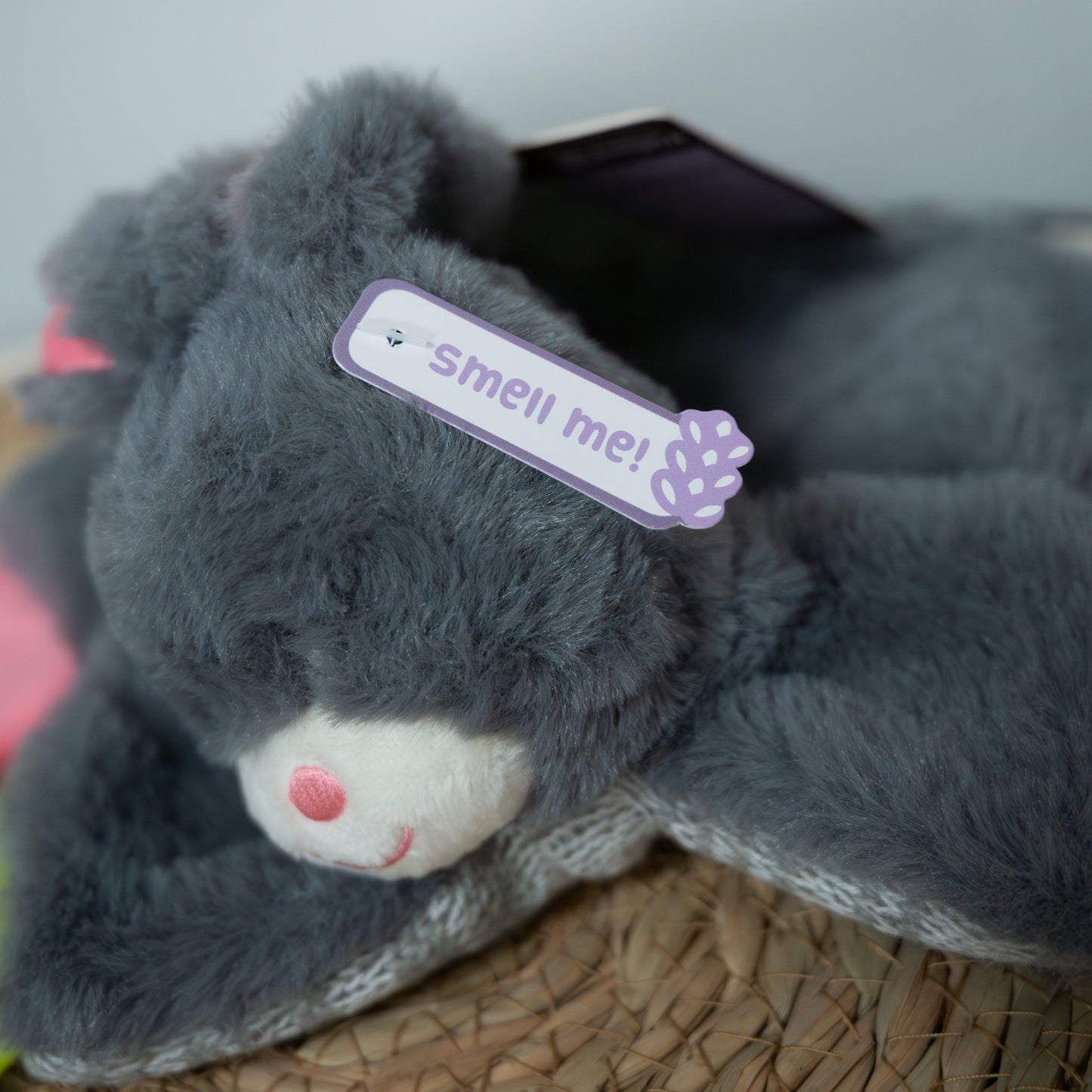 Bunny Puppy Crunchy Chew 🐰