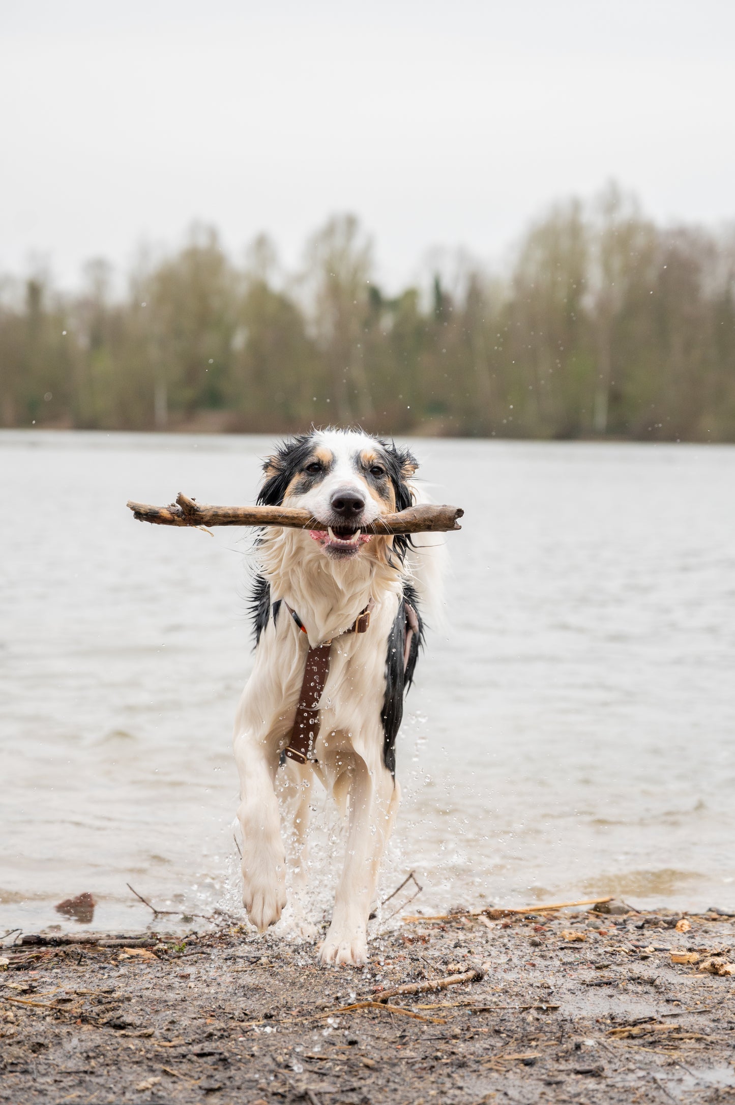 Waterafstotende harnas