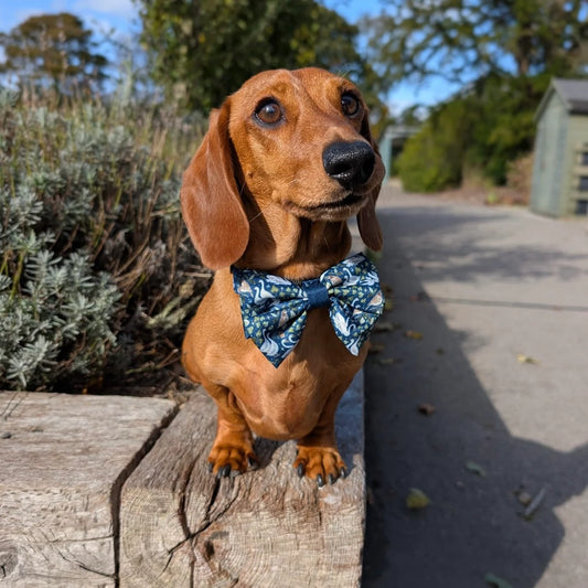 Twelve Days – Strikje