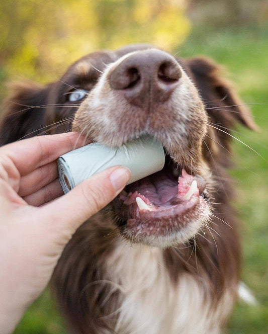 Poepzakjes (Composteerbaar)