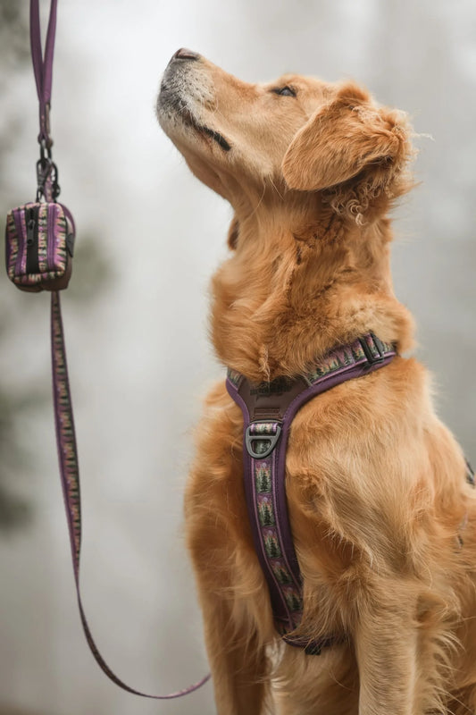 Streamline Pro™ Hondentuig – Moonlit Pines