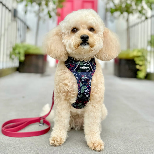 Hydroflex™ Two-Tone Waterproof Leiband