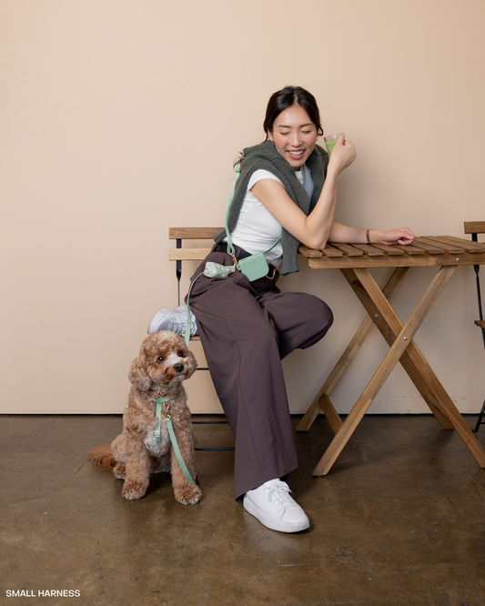 Waterafstotende riem