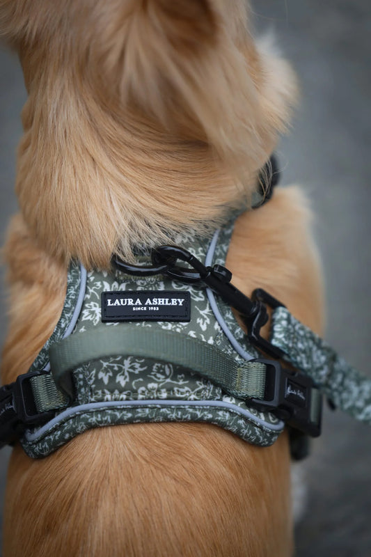 Laura Ashley - Sweet Alyssum - harnas