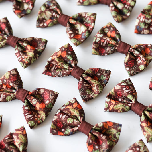 Foragers Forest – Strikje