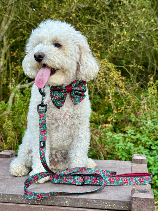 Leiband – Holly & Ivy