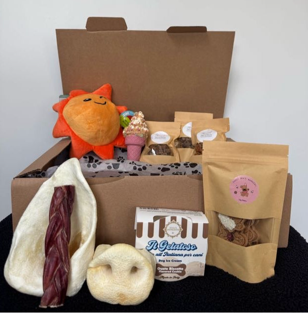 đThe Wagging Box (Halloween Edition)