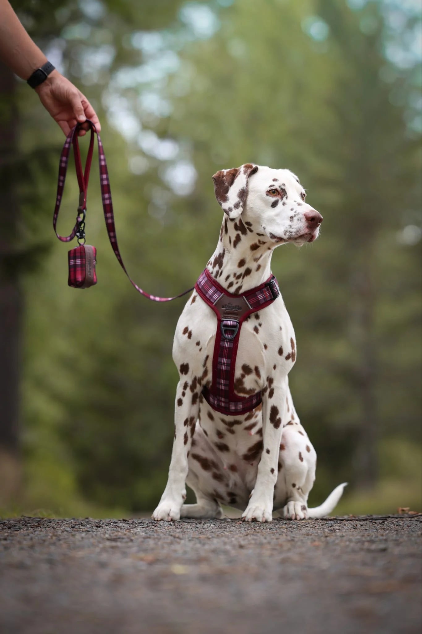 Streamline Pro™ Harnas – Merlot Manor