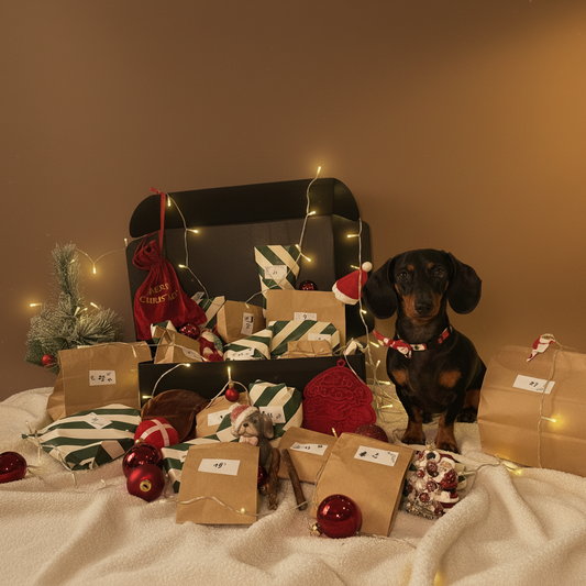 Kwispelkalender - Christmas editie (PRE-ORDER)