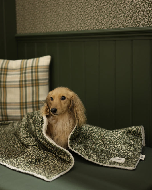 Couverture pour chien et chiot Laura Ashley - Sweet Alyssum