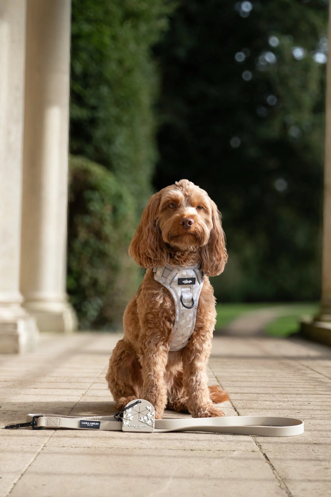 Laura Ashley - Magnolia Grove - harnas