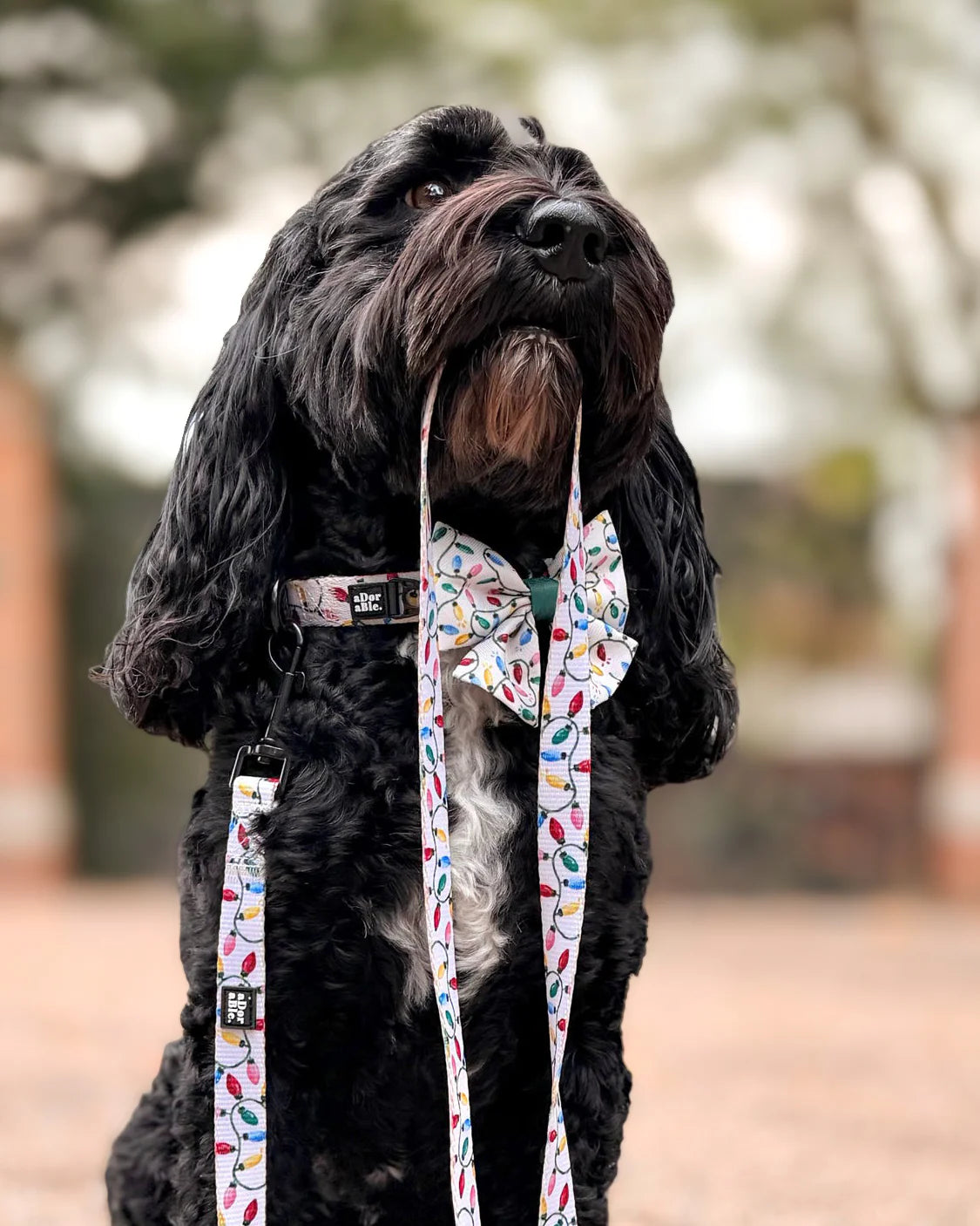 Leiband – Festive Lights