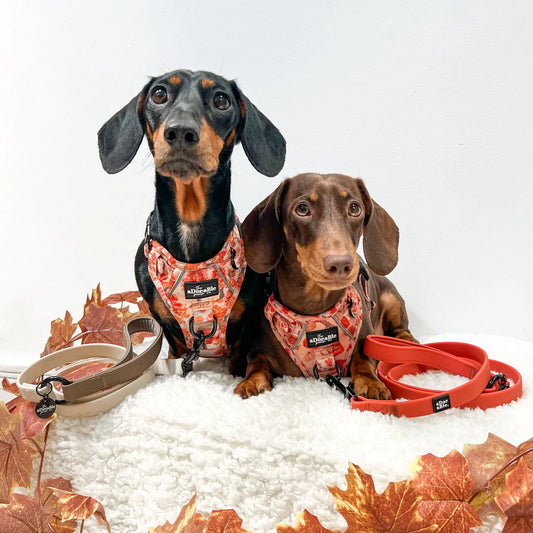 Hydroflex™ Two-Tone Waterproof Leiband