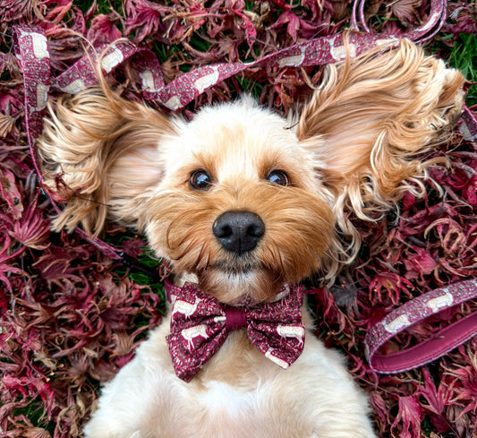 Winter Fawn – Strikje