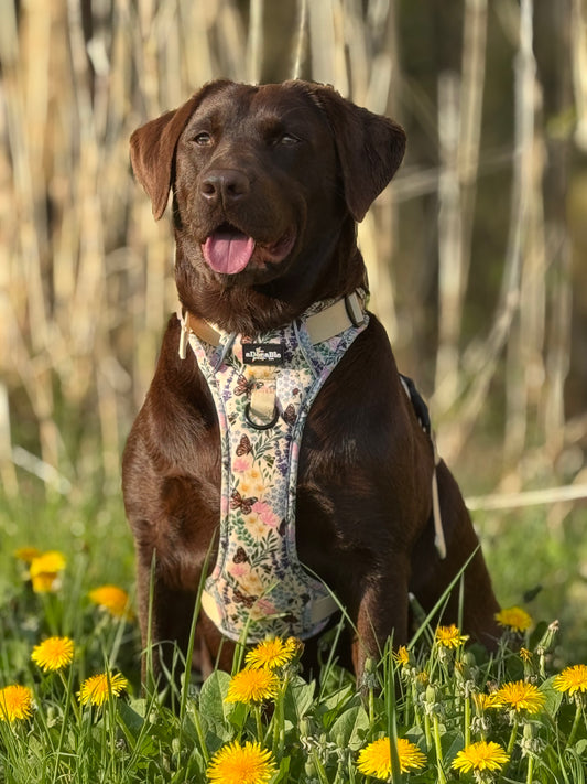 Hike & Go Lite™ Harnas – Bumbles & Butterflies