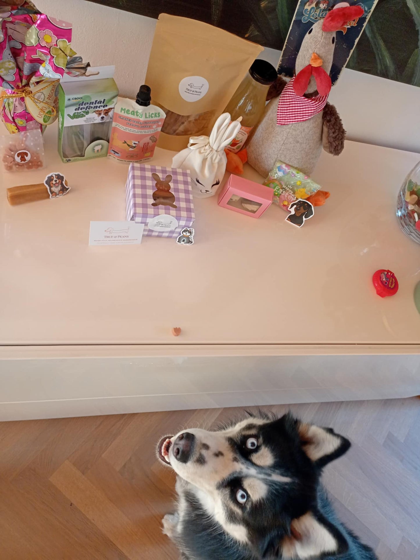 đThe Wagging Box (Halloween Edition)