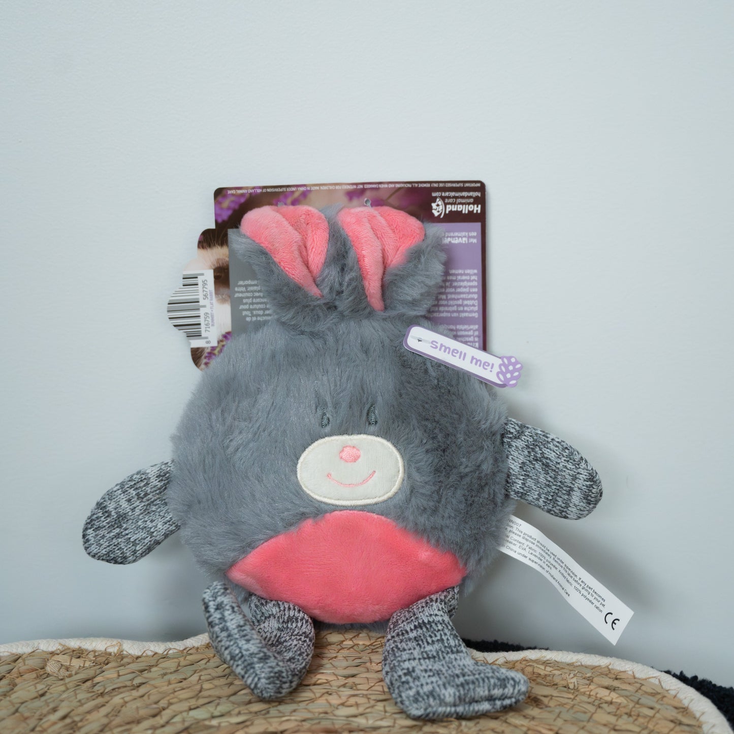 Bunny Puppy Flat Rabbit 🐰