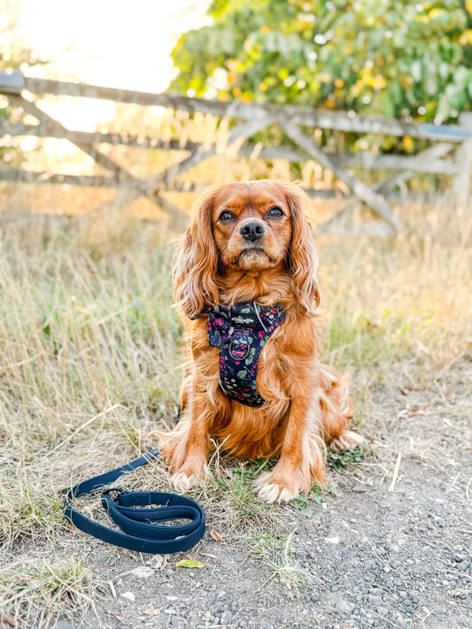 Hydroflex™ Two-Tone Waterproof Leiband