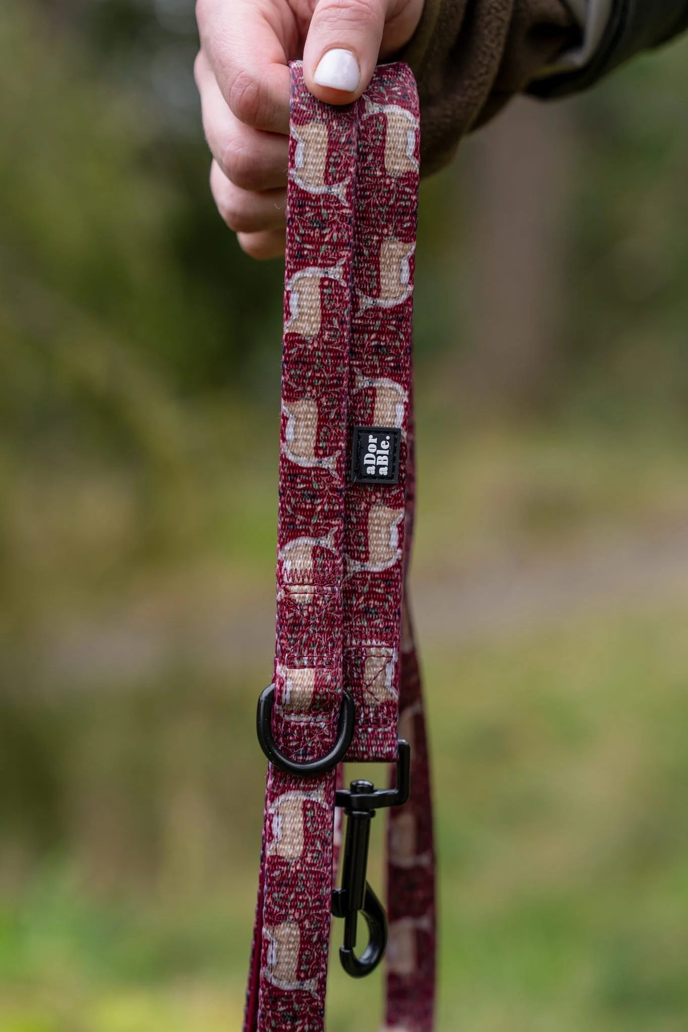 Laisse – Faucon d'hiver