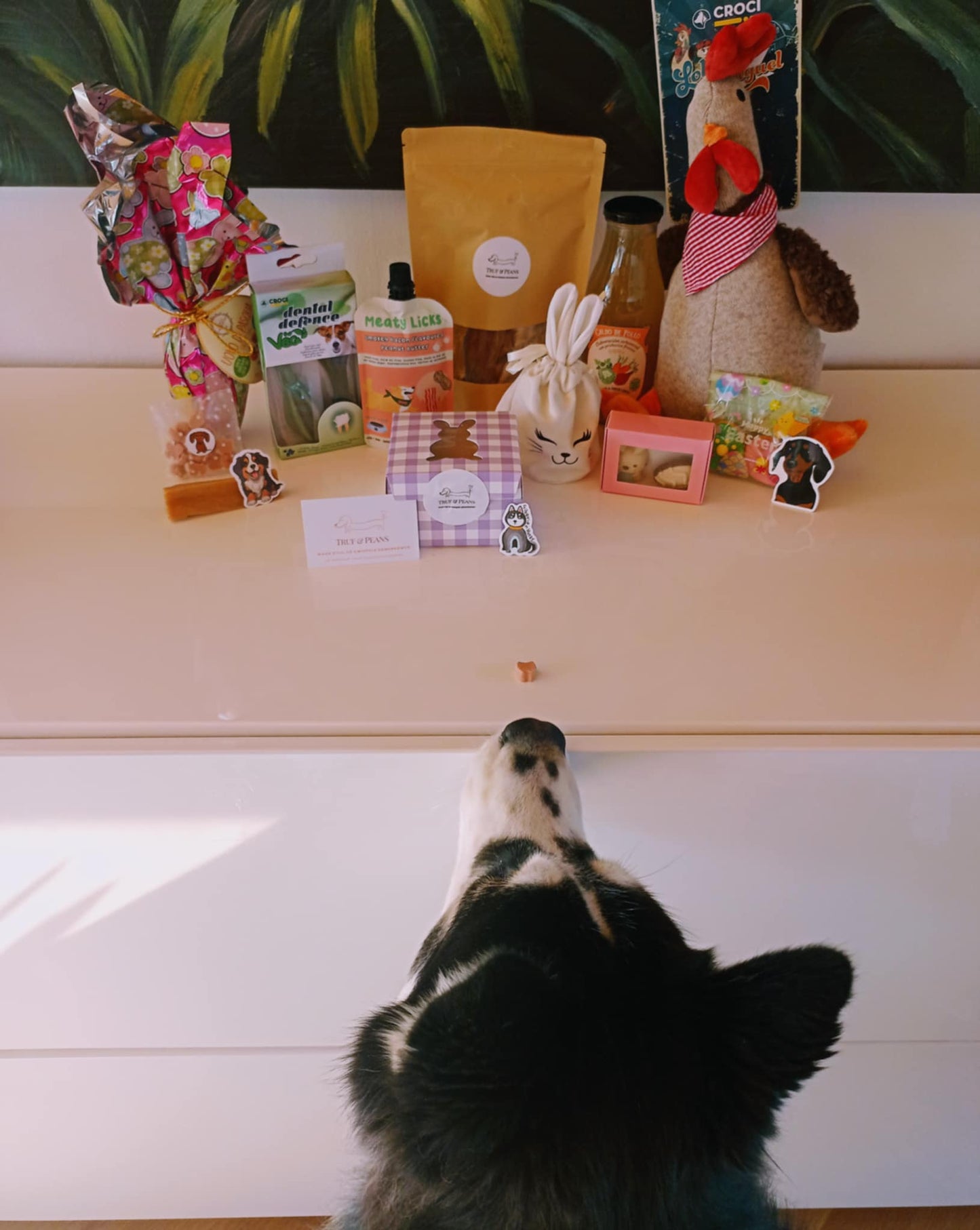 đThe Wagging Box (Halloween Edition)