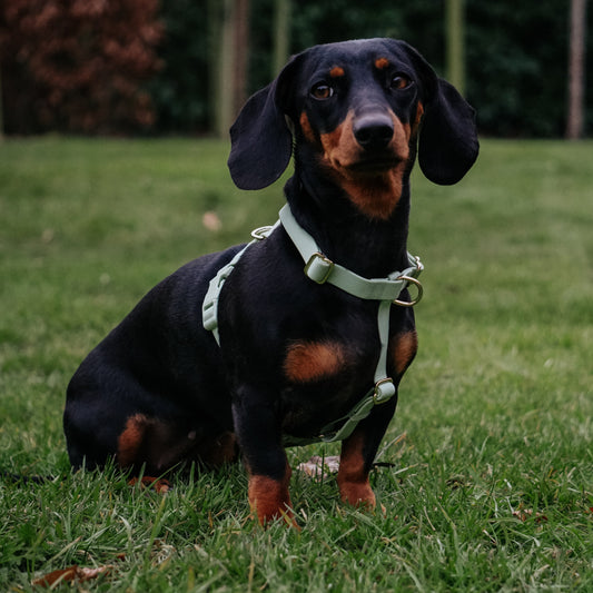 Waterafstotende harnas