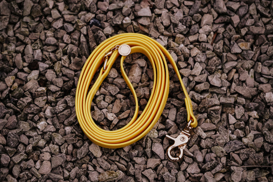 Waterafstotende hondenriem