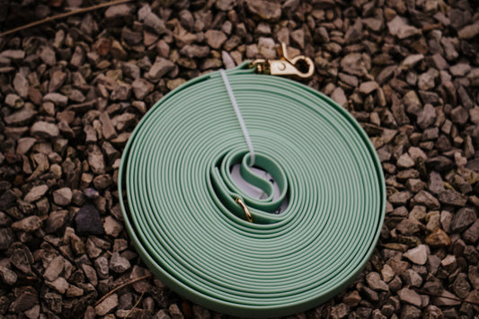 Waterafstotende hondenriem (9 meter)