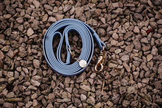 Waterafstotende hondenriem