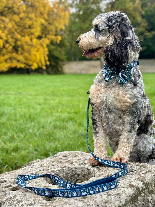 Leiband – Twelve Days