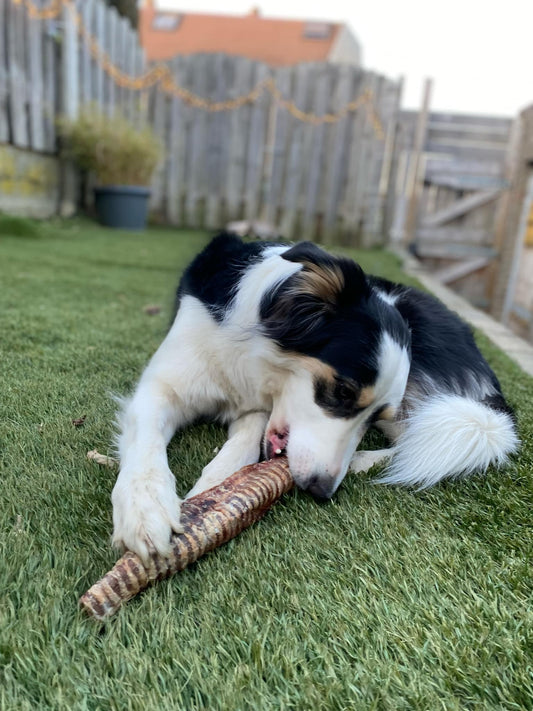 Runderluchtpijp 30 cm