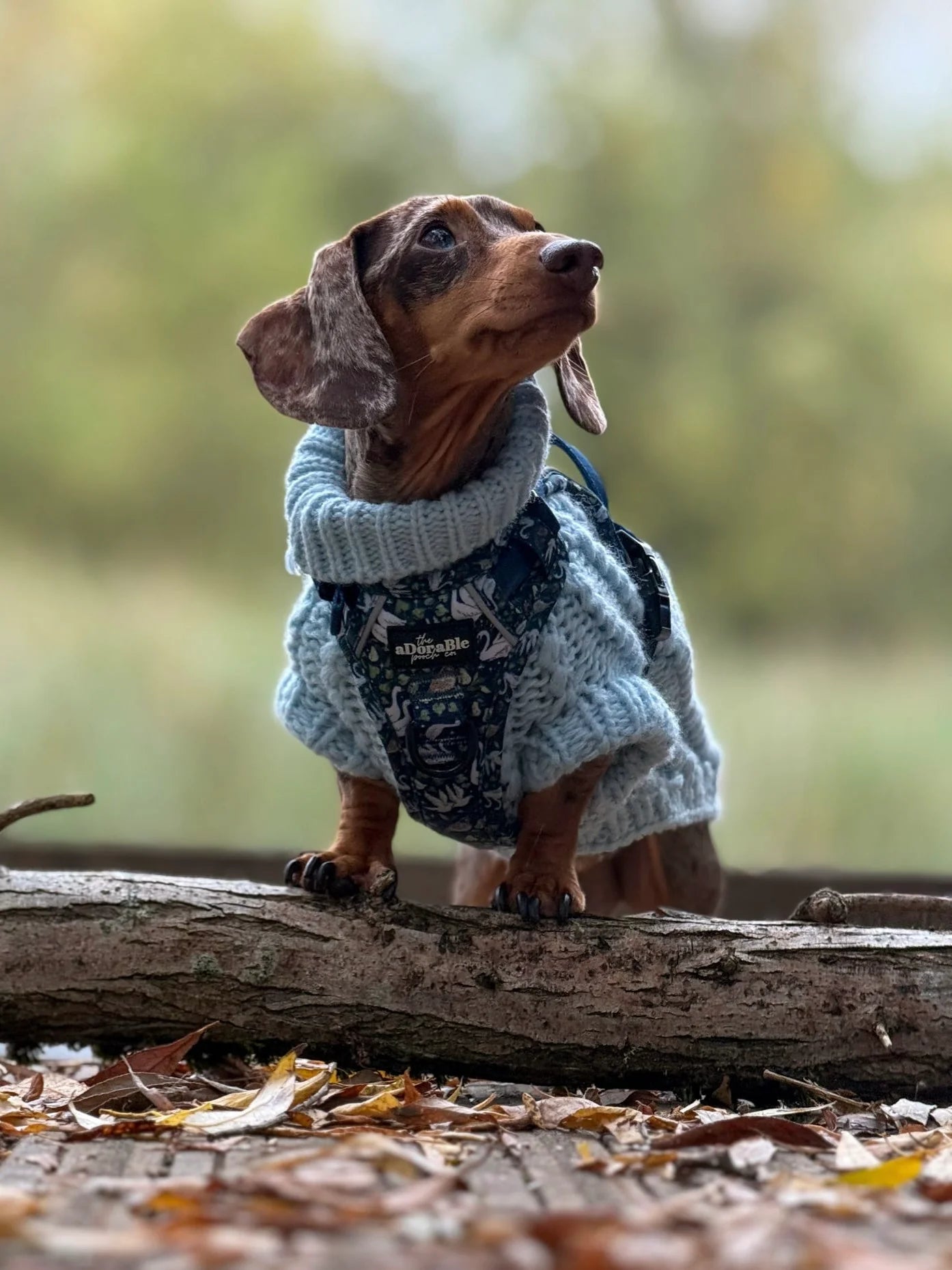 Hike & Go Lite™ Harnas – Twelve Days