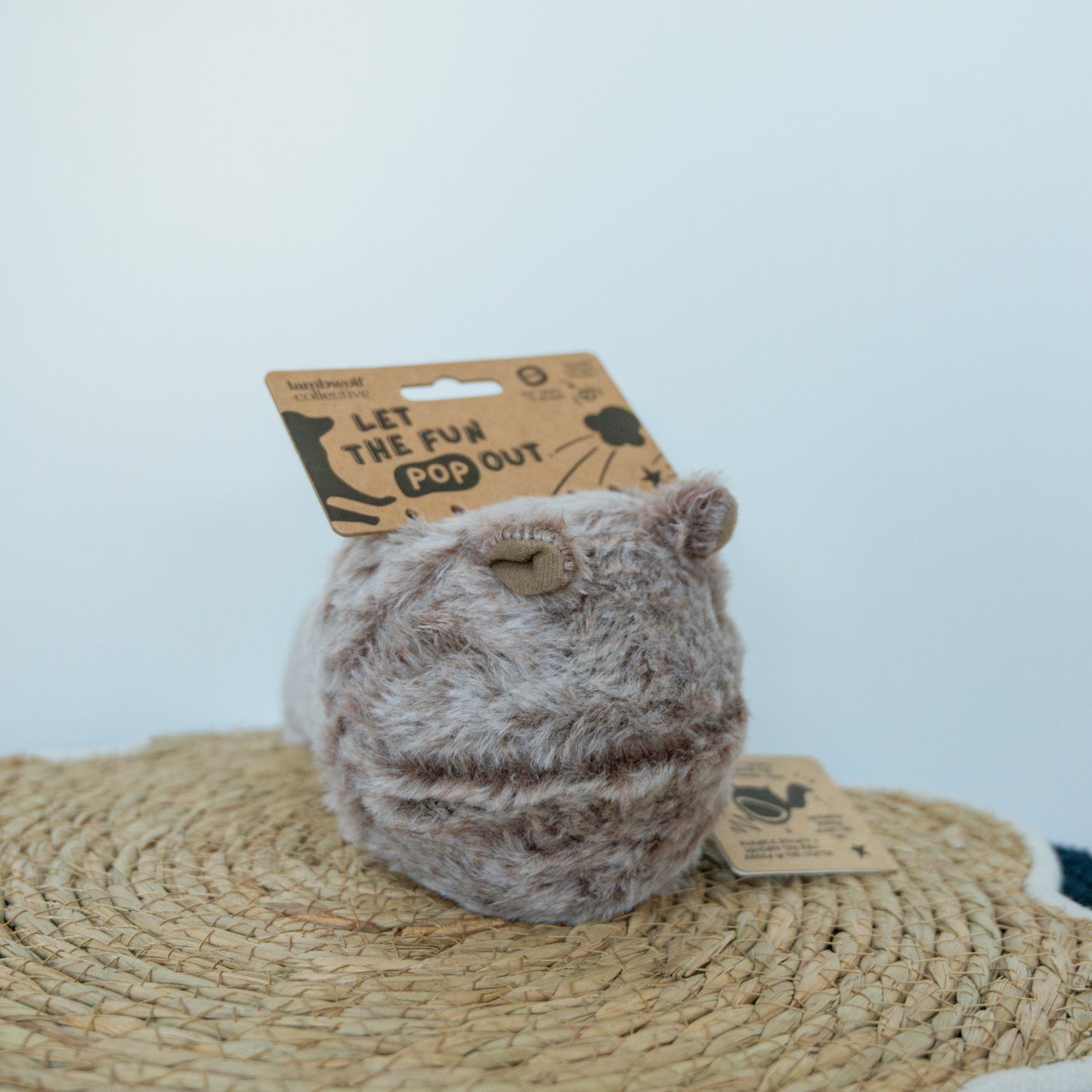 SquirrelPop 🐿️