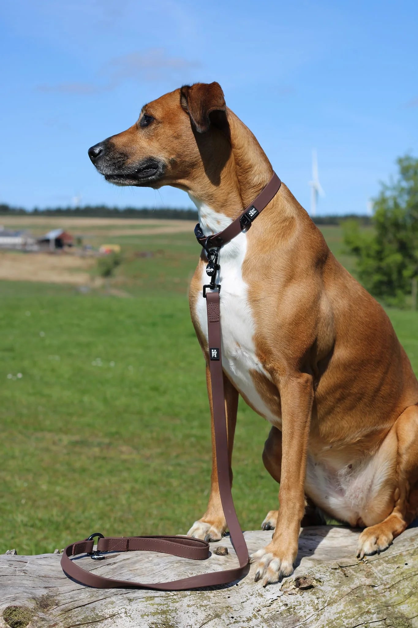 Collier Hydroflex Lite™ – Chocolat