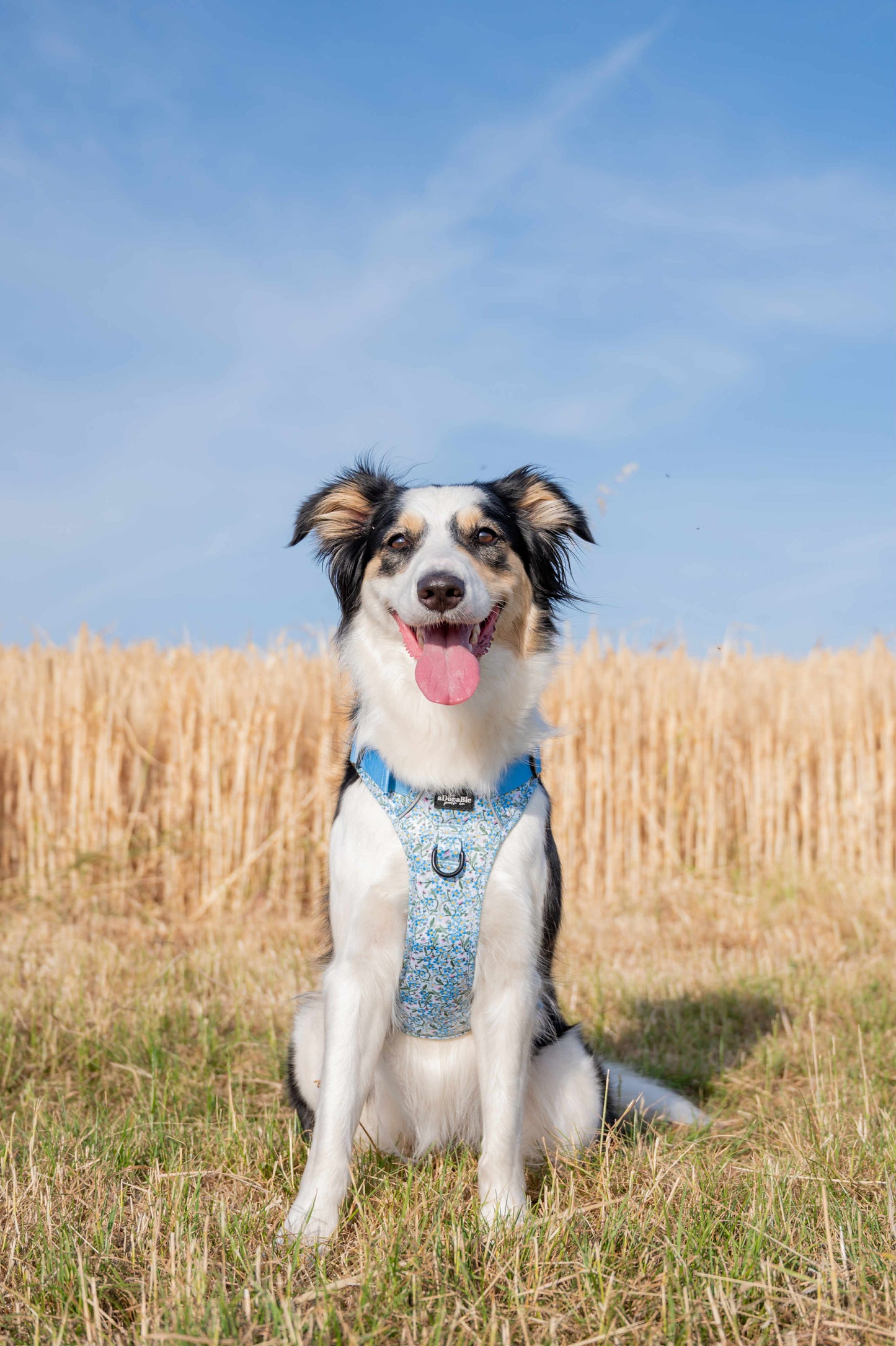 Hike & Go Lite™ Harness – Flourishing Forget-Me-Nots