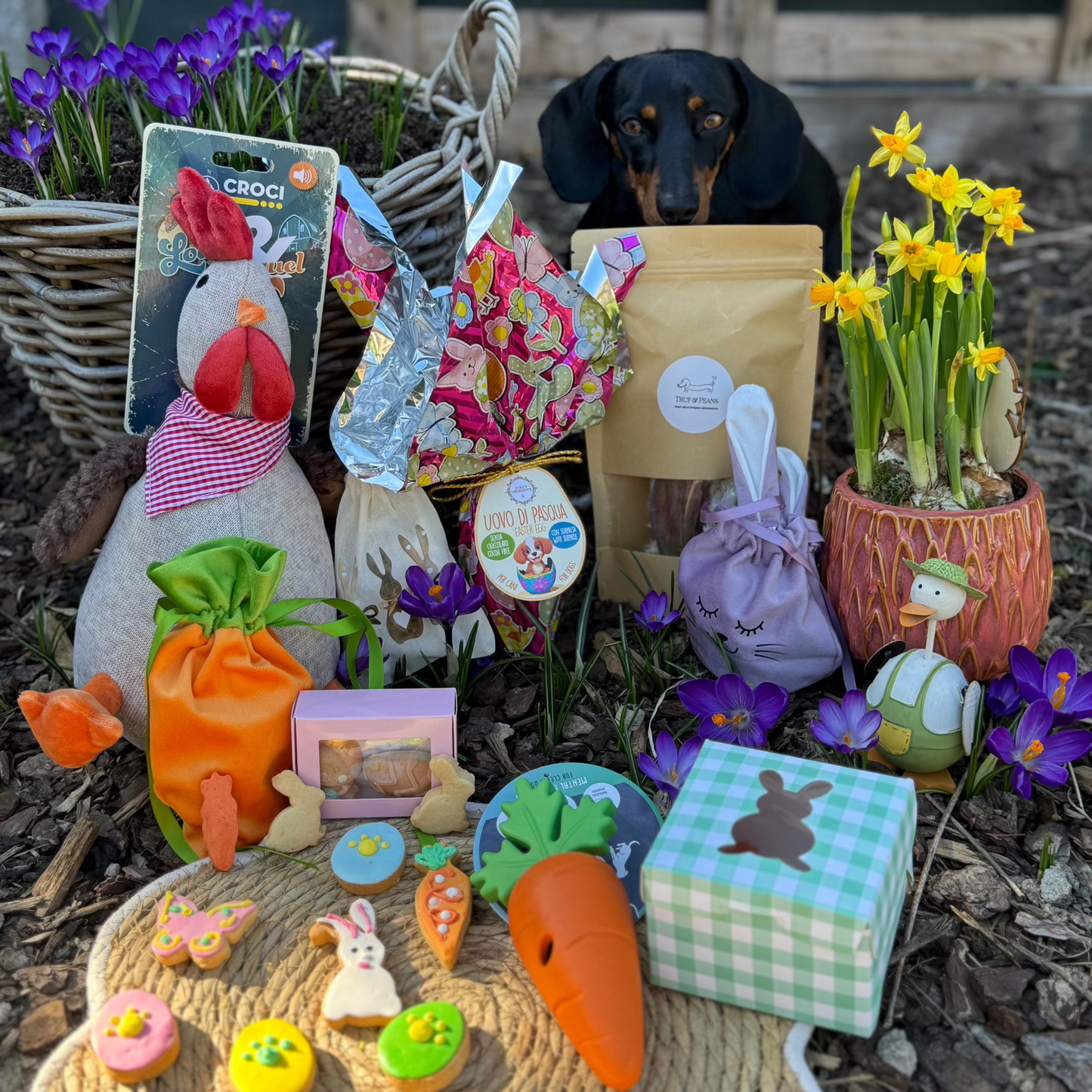 đThe Wagging Box (Halloween Edition)