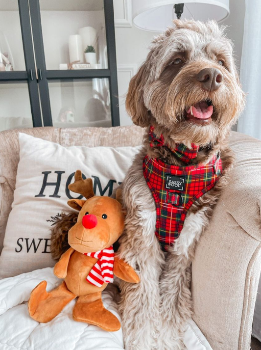 Christmas Rendier pluche