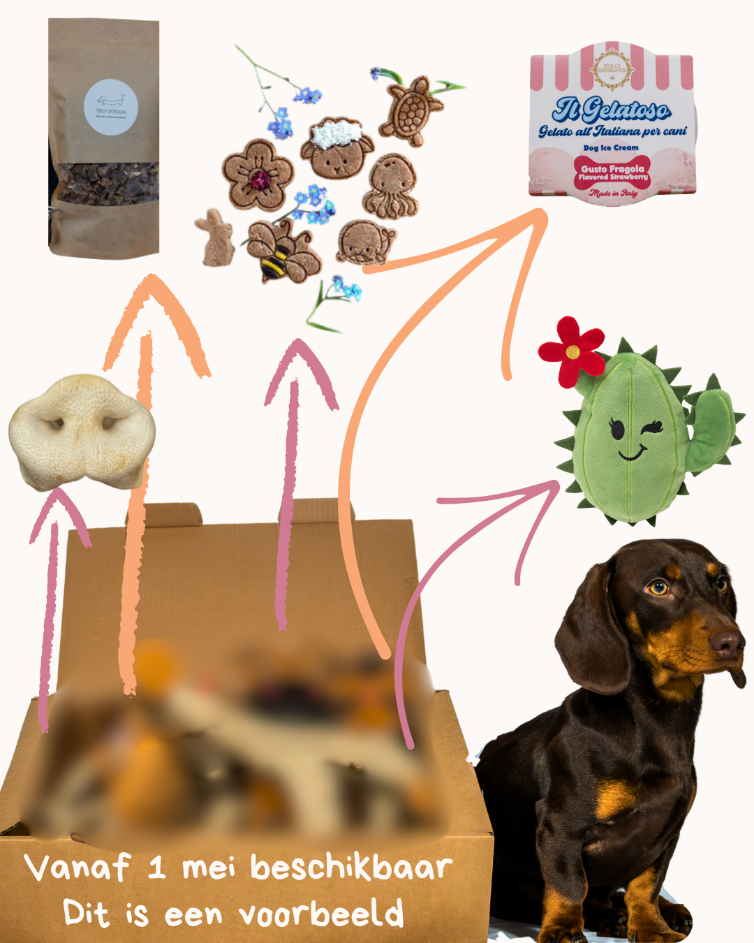 đThe Wagging Box (Halloween Edition)