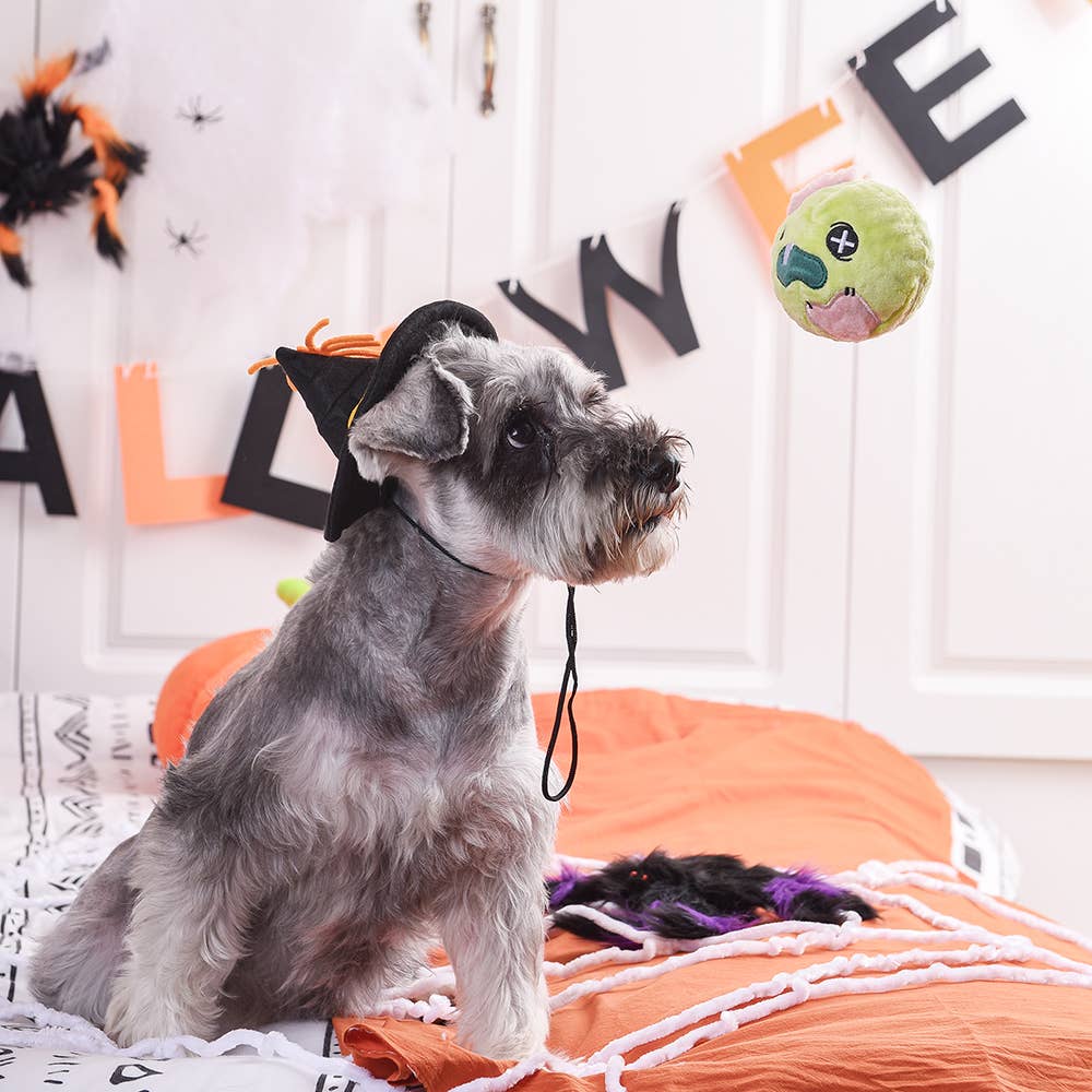 Halloweenspeeltje Bal – Zombie | Hondenspeelgoed met pieper