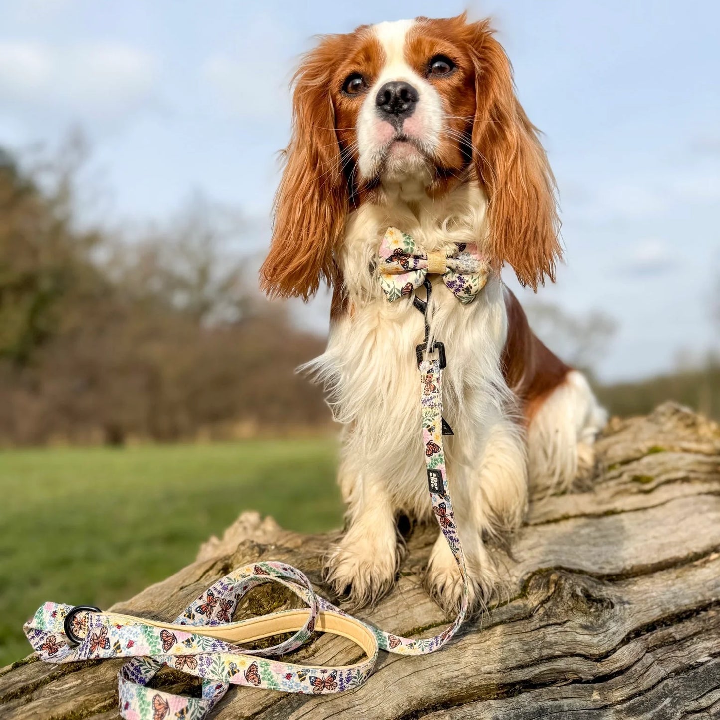 🐝 Bumbles & Butterflies – Bow Tie & Sailor Bow Tie