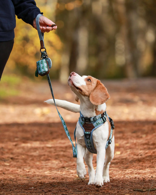 Streamline Pro™ Hondentuig – Daydream Heights