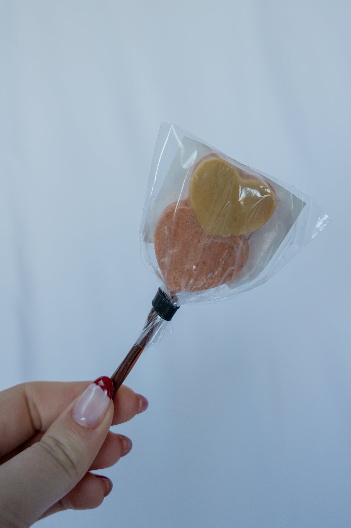 Gevogelte & zalm Hartlolly