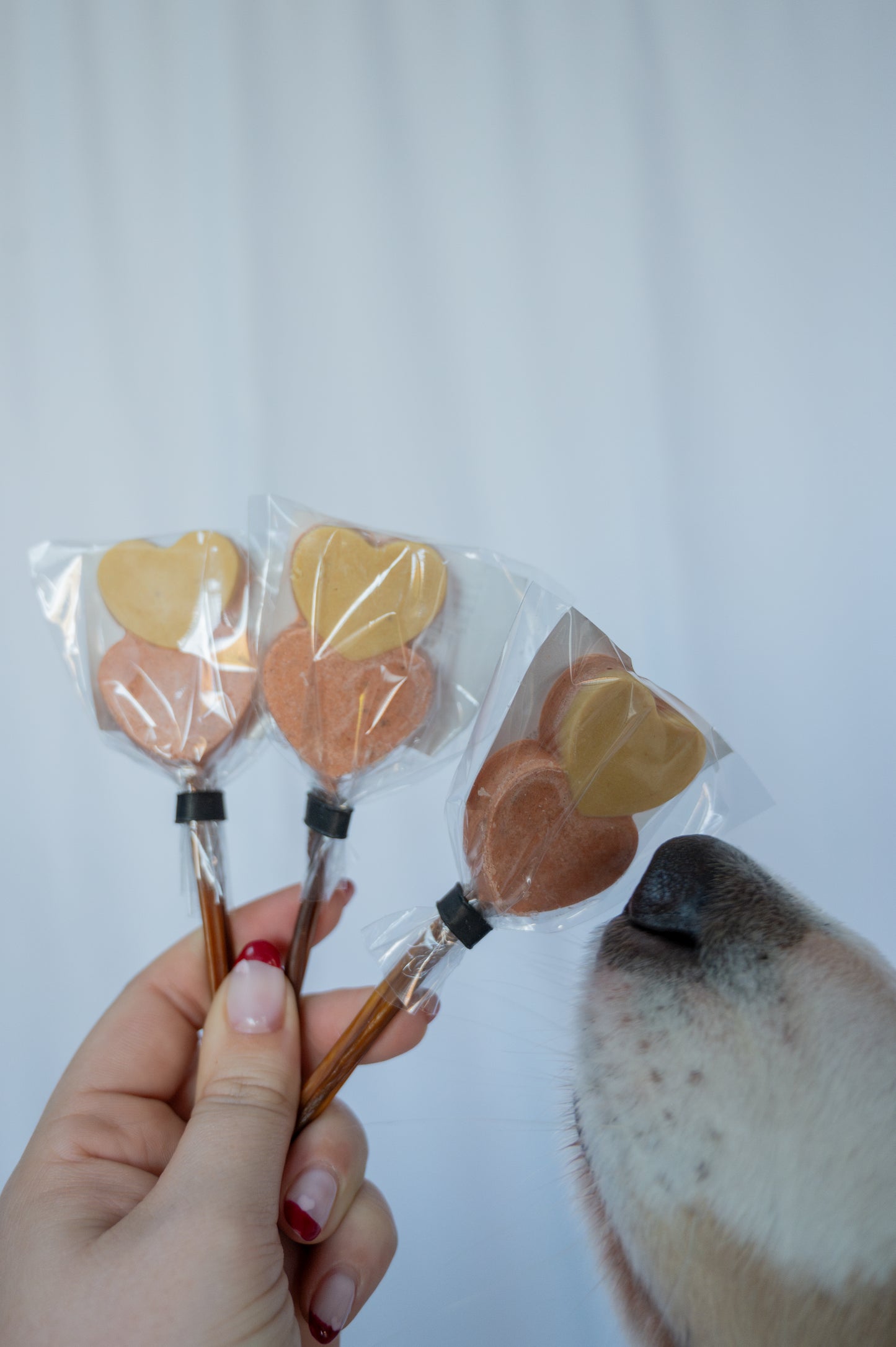 Poultry & Salmon Heart Lolly